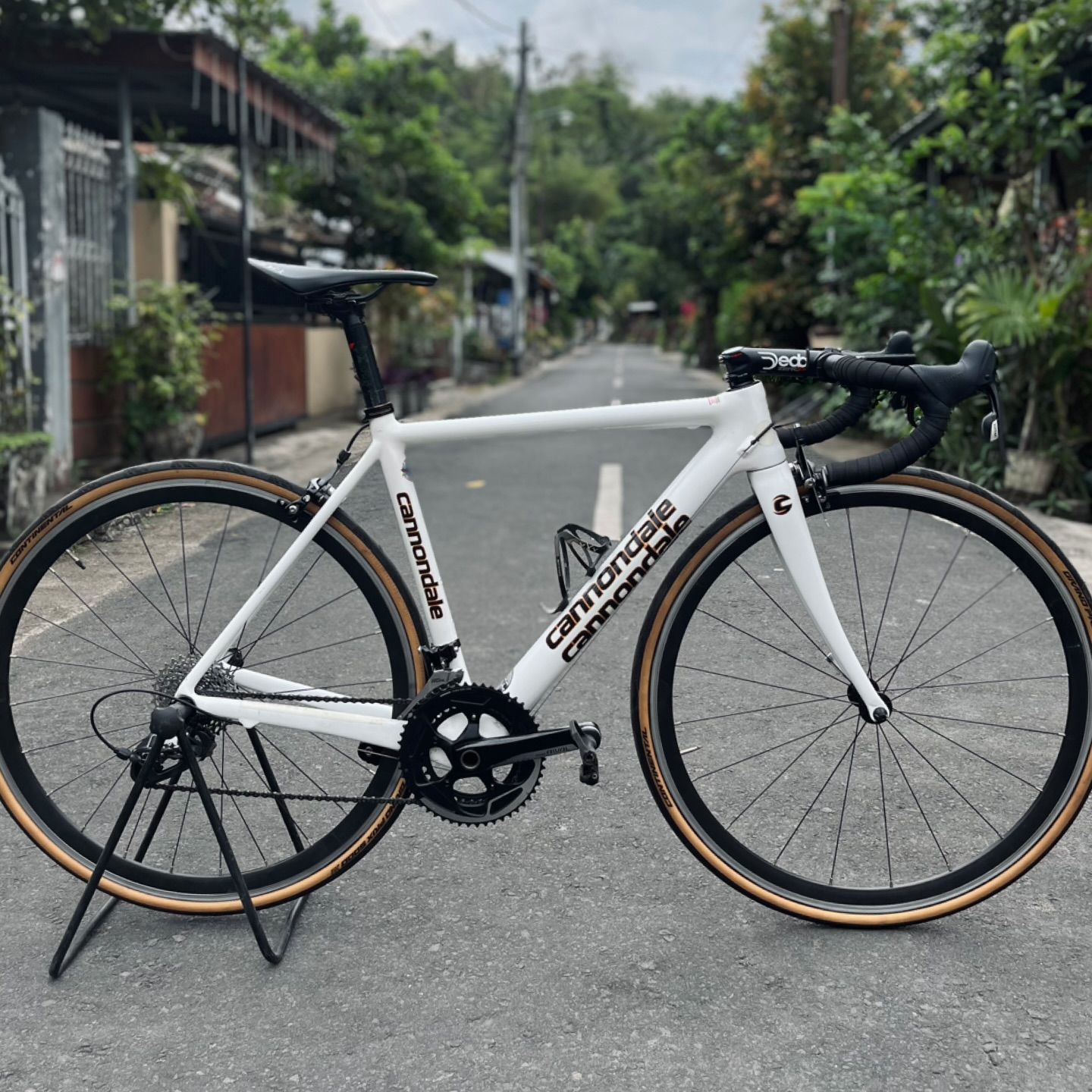Cannondale Thumbnail